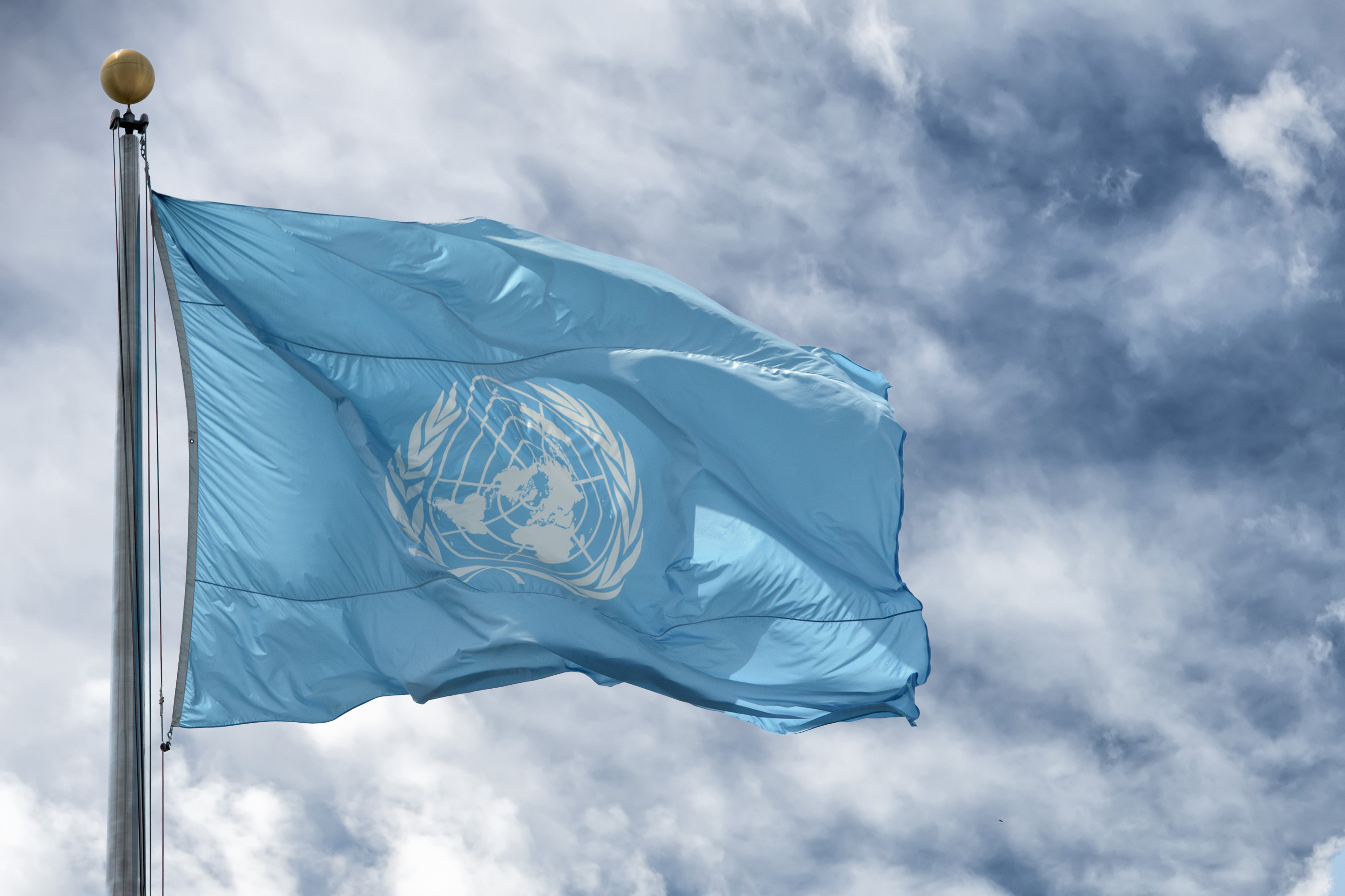 Оон вода. Флаг ООН. Флаг организации Объединенных наций. Флаг ООН фото. Флаг un.